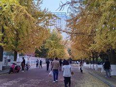 -辽宁大学(崇山校区)