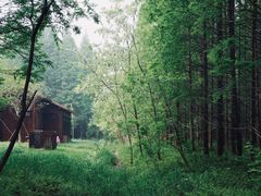 -黄海国家森林公园