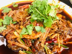 -小杨翘脚牛肉