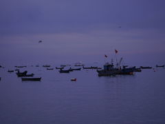 -海源公园