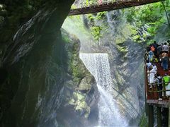 -牛背梁国家森林公园