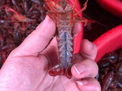 -树木岭集贸市场(劳动东路)