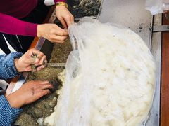 -叶氏麻糍(鼓浪屿店)