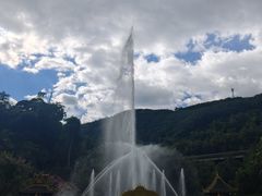 -西双版纳原始森林公园