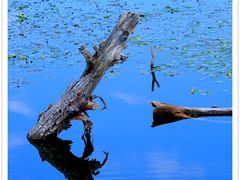 -北京天湖会议中心