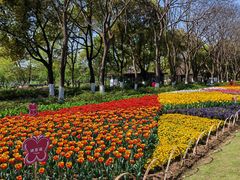 -玄武湖景区-情侣园游乐场