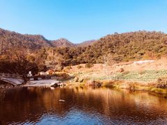 -广州市石门国家森林公园