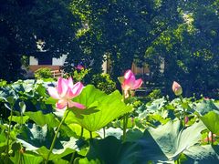 -国家植物园南园