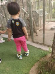 -萌宠亲子动物乐园(槐房万达店)