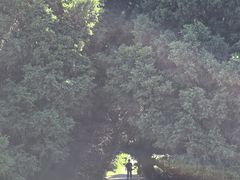 -秦始皇帝陵博物院-丽山园