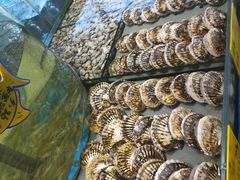 -绿江春(长江街店)