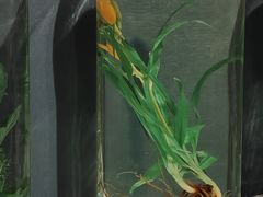 -中国湿地博物馆