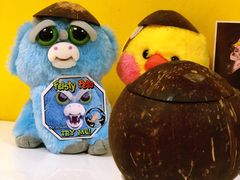 -志龙皇冠吃货椰子铺