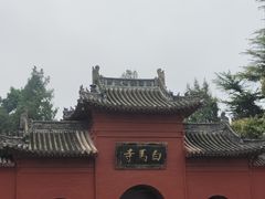-洛阳白马寺