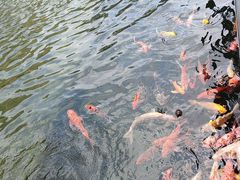 -太子园林酒家