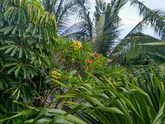 -金巴兰海滩烛光bbq