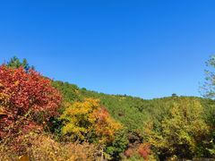 -北京西山国家森林公园