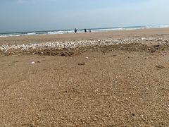 -东海岛旅游度假区