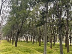 -嘉北郊野公园