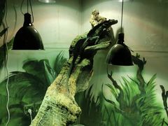 -北京园博大酒店