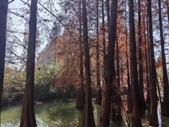 -星湖旅游景区七星岩