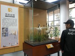 -漩门湾国家湿地公园