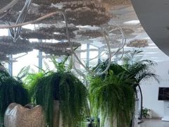 -哈尔滨圣安口腔专科医院