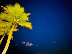 -日落吧·海景咖啡厅·餐酒吧·鸡尾酒·下午茶·乐队表演·浪漫夕阳·三亚文华东方酒店