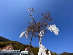 -杭州生仙里国际滑雪场