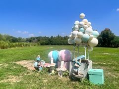 -白塔湖国家湿地公园