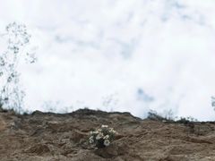 -山西通天峡景区