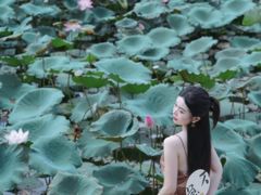 -惠州西湖丰渚园