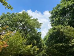 -南山风景名胜区