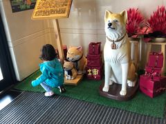 -大江户·温泉洗浴(浑南店)