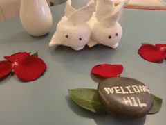 -深圳国际会展中心希尔顿酒店(前海华发冰雪世界店)