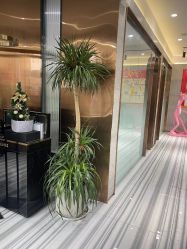 -SUNLON秀隆时尚烫染定制沙龙