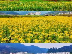 -篁岭景区