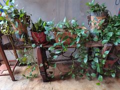 -Africafe(非洲咖啡)