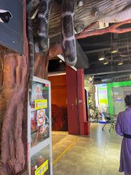 -卡通尼·Safari非洲探索乐园·生日会(金桥国际商业广场店)