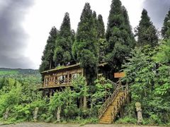 -武陵山森林公园