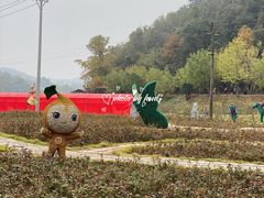 -千年银杏谷文化旅游区