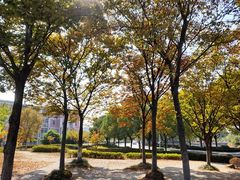 -南京财经大学(仙林校区)