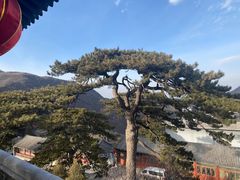-妙峰山风景名胜区