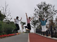 -上海长兴岛郊野公园