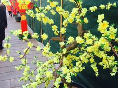 -归元·云集斋素菜馆