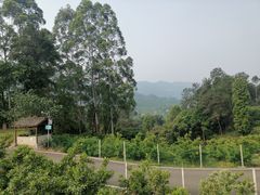 -樱桃山旅游景区