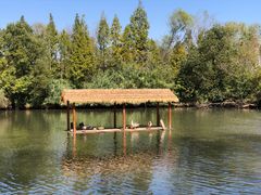 -溱湖国家湿地公园