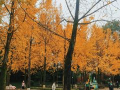 -重庆彩云湖湿地公园