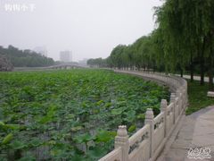 -南戴河国际娱乐中心