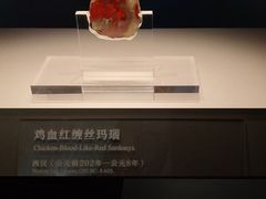 -北京大葆台遗址博物馆